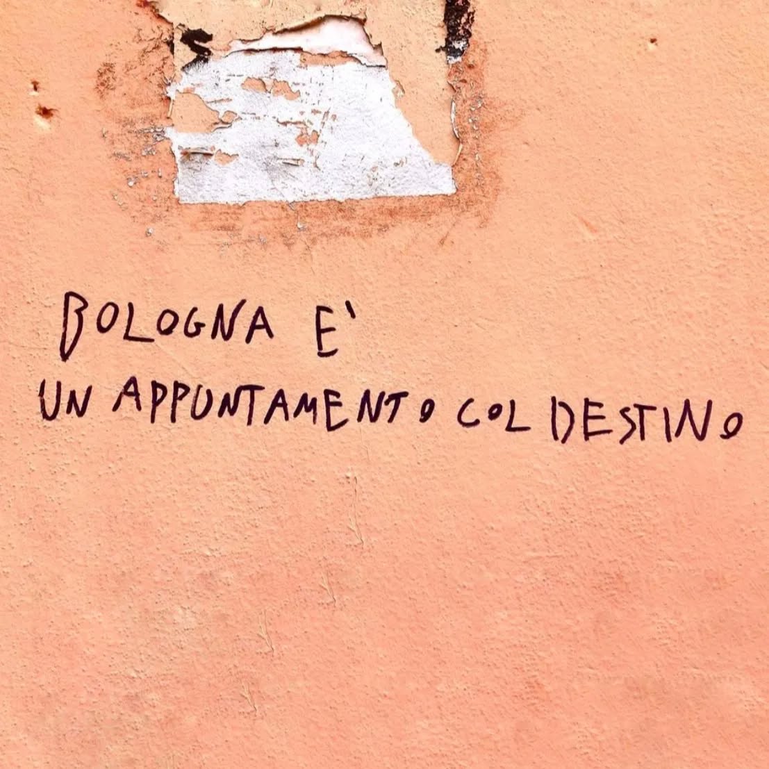 Maglietta "Bologna è un appuntamento col destino"
